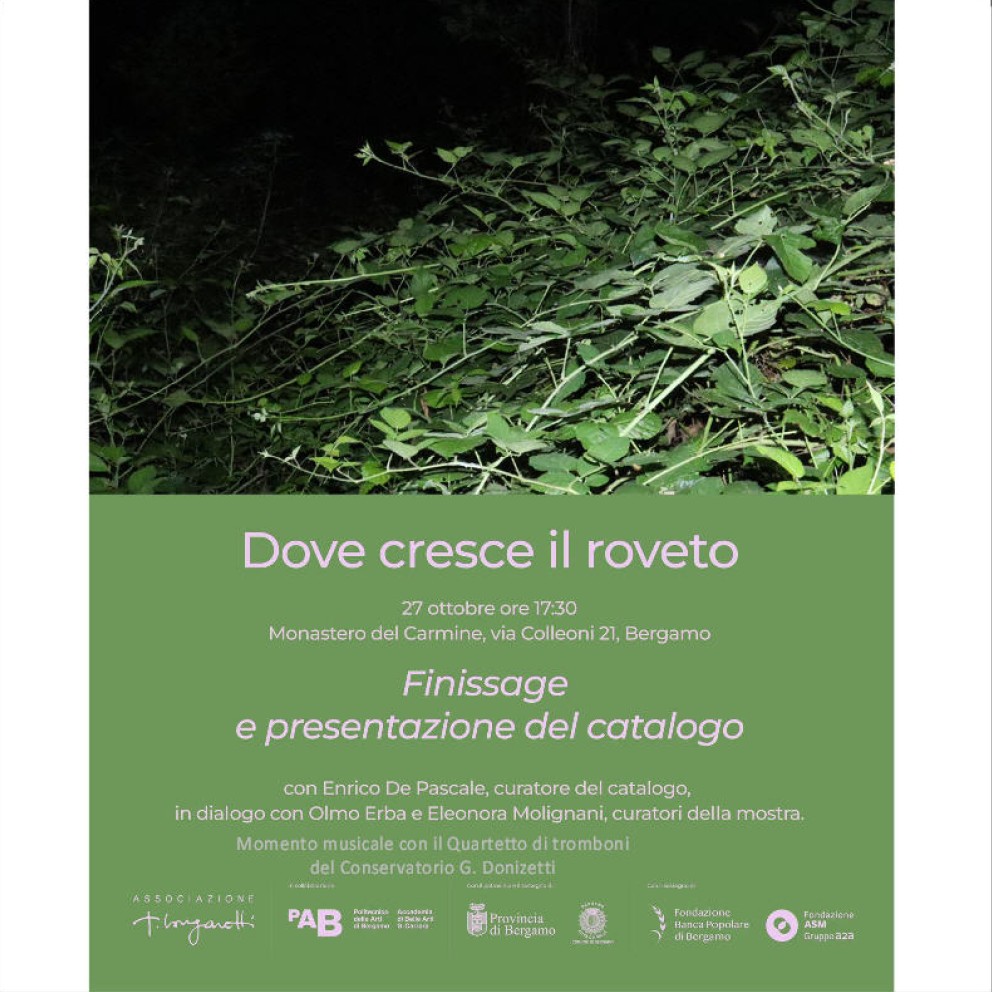 DOVE CRESCE IL ROVETO Domenic 27 ottobre FINISSAGE